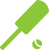 Cricket Pitches
